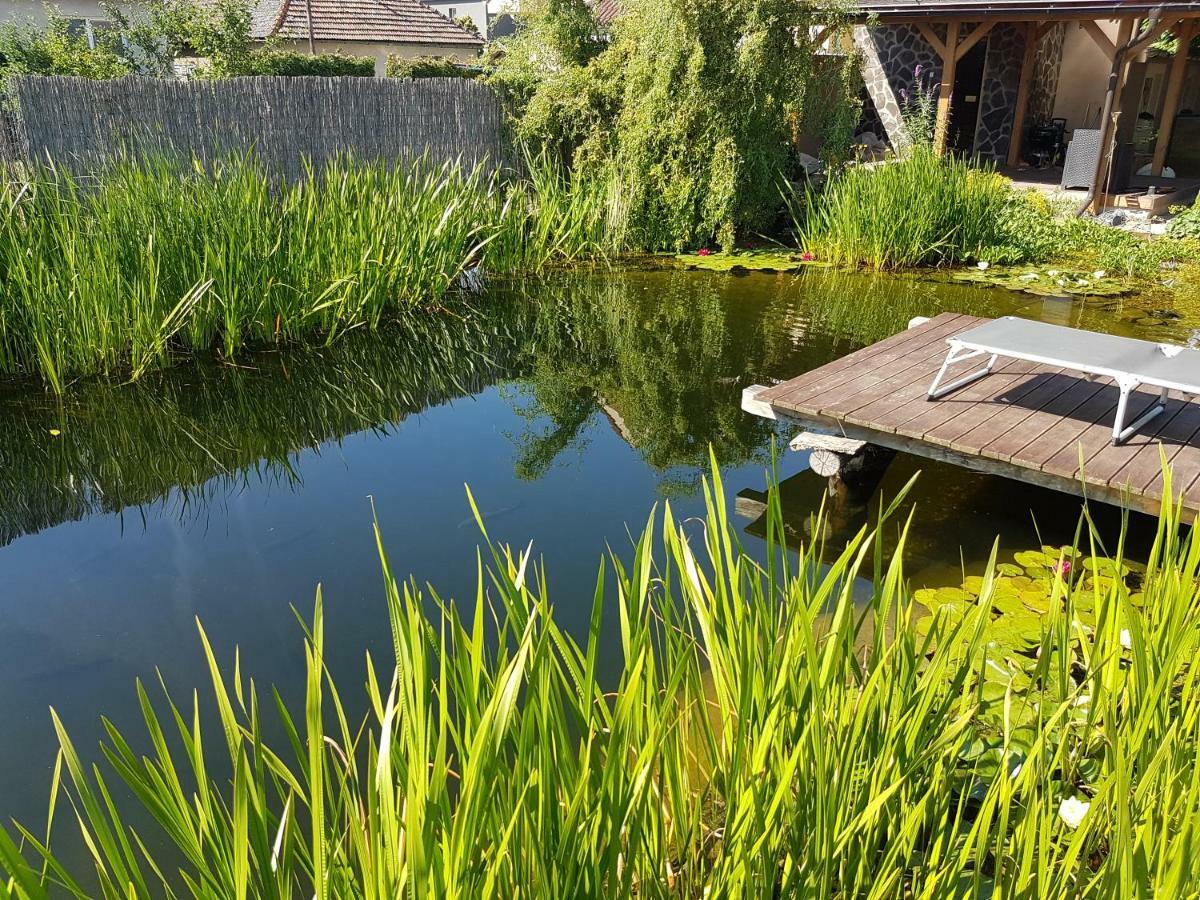 Walnut Apartment With Sauna And Pond ตอปอลชานี ภายนอก รูปภาพ